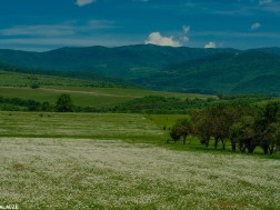 გარდაბანი