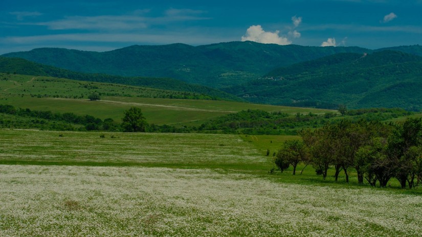 გარდაბანი