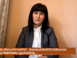 ნინოს მშრალი ხილი