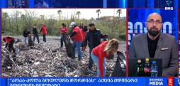 დედამიწის დღე
