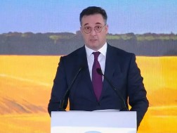 დავით სონღულაშვილი