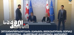 ელექტრომობილების ქარხნა