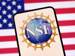 NSF