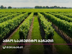 აგრო ბიზნესი