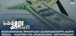 ინვესტიციების მოზიდვა