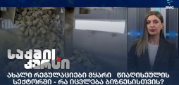 მყარი წიაღისეულის სექტორი