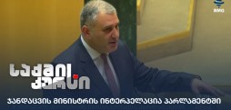 ჯანდაცვის მინისტრის ინტერპელაცია