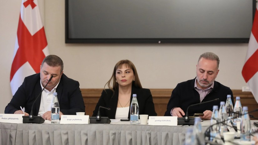 რატომ არ დაუჭირა მხარი პარტიამ "საქართველოსთვის" ფასების კომისიის შემაჯამებელ დოკუმენტს? - კერესელიძე