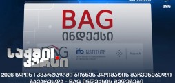 BAG ინდექსის შედეგები