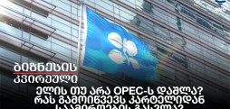 ელის თუ არა OPEC-ს დაშლა?