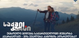 უცხოელი გიდები