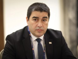 შალვა პაპუაშვილი
