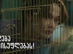ჩიტებს ფრენა არ ავიწყდებათ
