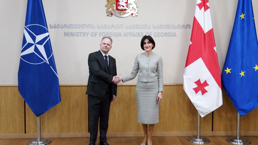 მაკა ბოჭორიშვილი კავკასიასა და ცენტრალურ აზიაში ნატო-ს გენმდივნის სპეც. წარმომადგენელს შეხვდა