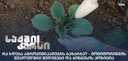 აგროქიმიკატების ბაზარი
