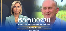 შალვა ქურდაძე