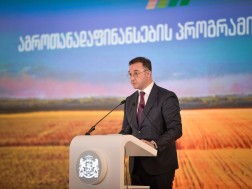 დავით სონღულაშვილი