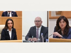 კომიტეტის სხდომა