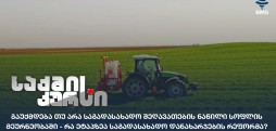 საგადასახადო შეღავათები