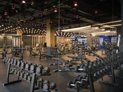 oktopus fitness