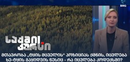 „ტყის მცველის“ პოზიცია