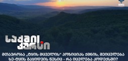 „ტყის მცველის“ პოზიცია