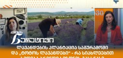 ნინო სანიკიძე