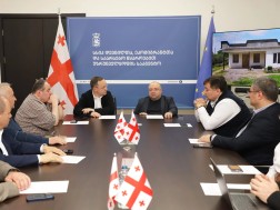 დევნილთა სააგენტო