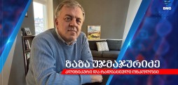 ყველაფერი დანიის ჯანდაცვის სისტემის შესახებ - ზაზა უჯმაჯურიძე