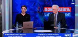 ყველაფერი დანიის ჯანდაცვის სისტემის შესახებ #ჯანდაცვისსტანდარტი - 17.05.2026