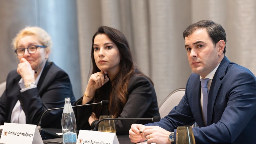 ეკონომიკის სამინისტრო სახელმწიფო ელექტროსისტემას 6 ეგხ-ს პროექტისთვის ₾21.8 მილიონს გამოუყოფს - განკარგულება