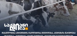 აგროსექტორი