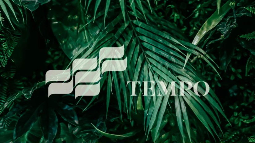 TEMPO: წარმატებული ისტორია გრძელდება