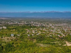 გურჯაანი