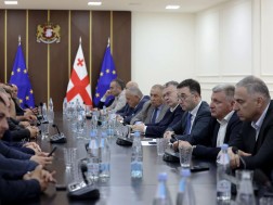 მეთხილეები