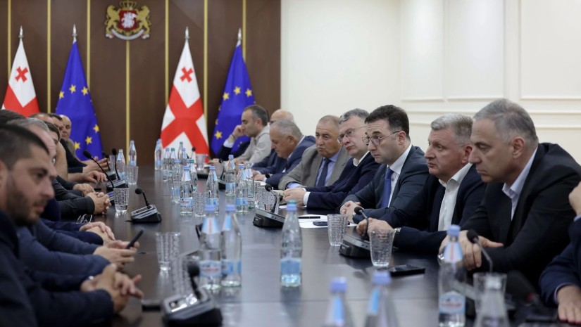 "გვინდა, მხარდაჭერის პროგრამები მაქსიმალურად რეალურ საჭიროებებს იყოს მორგებული" - სონღულაშვილი მეთხილეებს შეხვდა
