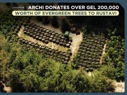 Archi