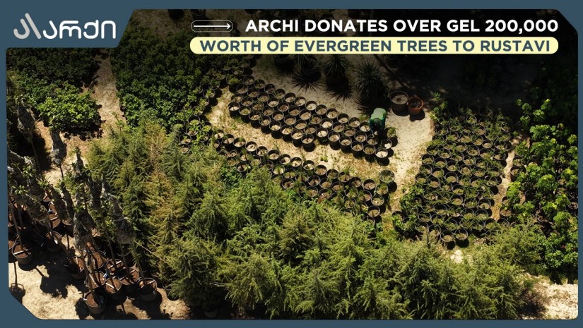 Archi