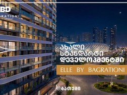 Bagrationi Development