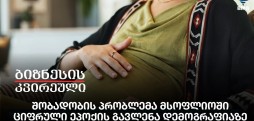 შობადობის პრობლემა მსოფლიოში, ციფრული ეპოქის გავლენა დემოგრაფიაზე