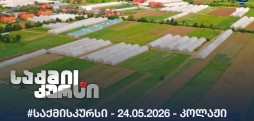 #საქმისკურსი - 24.05.2026 - კოლაჟი