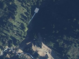 პარვუსი