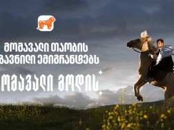 ბოგ