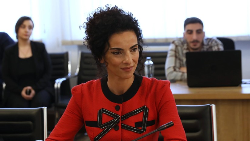 როგორ შეეძლებათ მსურველებს დიპლომატიის აკადემიაში ჩაბარება? - მინისტრის მოადგილის განმარტება