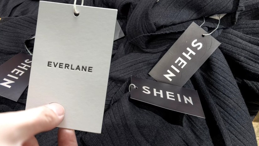 Shein-ი ტანსაცმლის ეკომეგობრულ ბრენდ Everlane-ს $100 მილიონად შეისყიდის