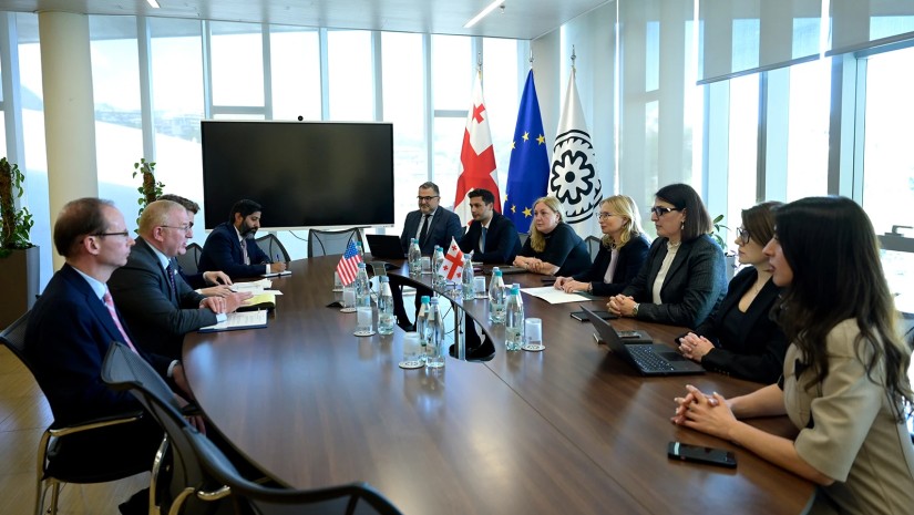 ნათია თურნავა აშშ-ის სახელმწიფო დეპარტამენტის დელეგაციას შეხვდა