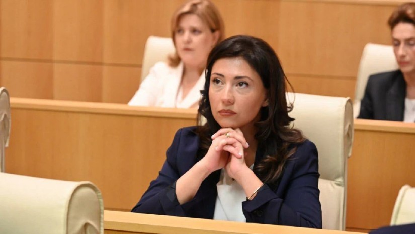 ["ოცნების" მთავრობის] ხელში ქართველი სტუდენტის ყოველდღიურობას "დოშირაკი" ჰქვია - ტატა ხვედელიანი