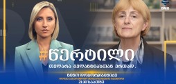 ნინო დობორჯგინიძე