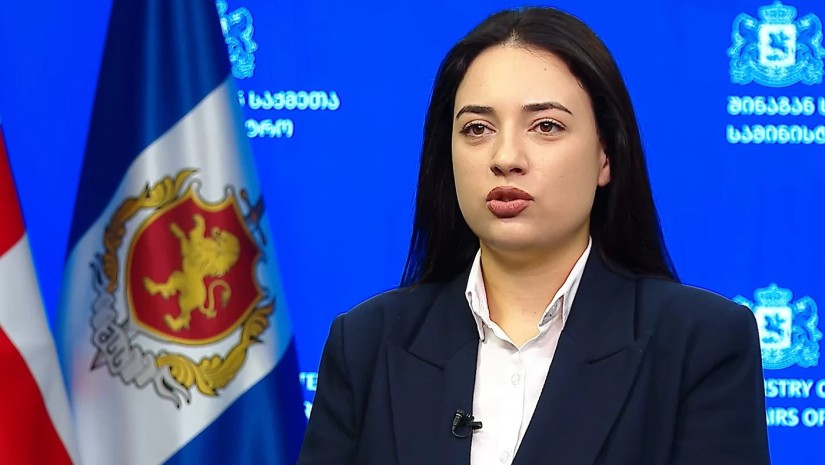 სიძულვილის ენის მონიტორინგის სამმართველოს თამთა ქიმბარიშვილი უხელმძღვანელებს