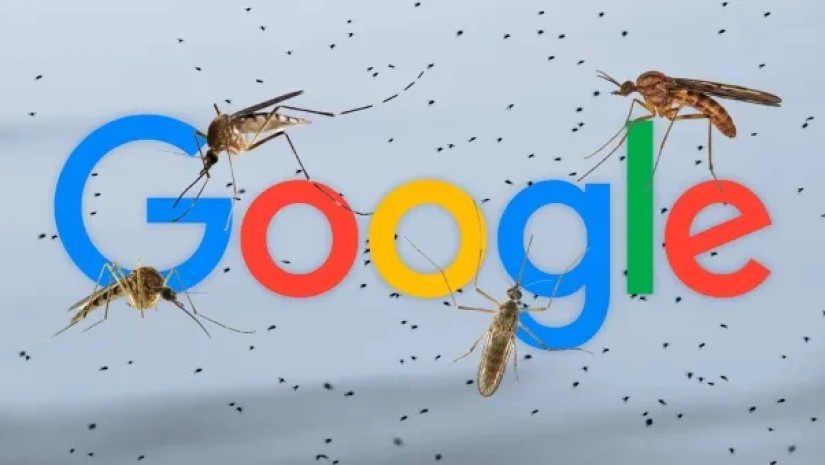Google-ი კალიფორნიასა და ფლორიდაში 32 მილიონ კოღოს გაუშვებს - რას გეგმავს კომპანია?